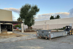 Post_Beautification_2