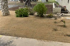 Post_Beautification_8